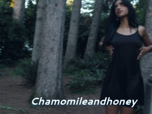 Chamomileandhoney