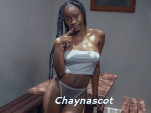 Chaynascot