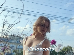Chloecolts