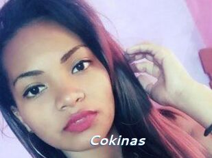 Cokinas