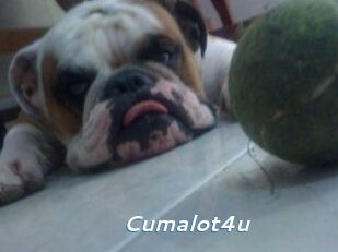 Cumalot4u