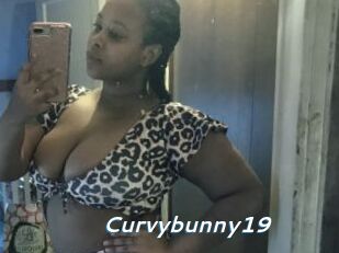 Curvybunny19