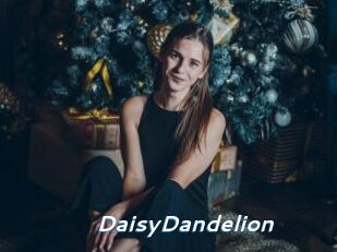 DaisyDandelion Camgirls Live