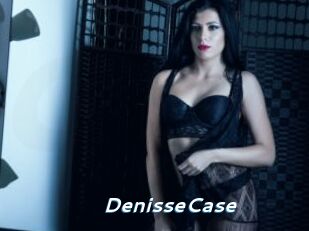 DenisseCase