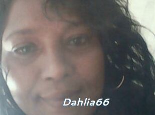 Dahlia66