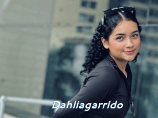 Dahliagarrido