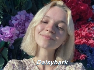 Daisybark
