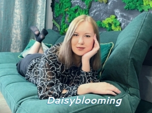 Daisyblooming