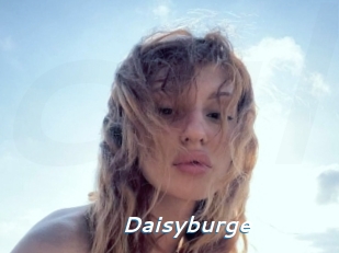 Daisyburge