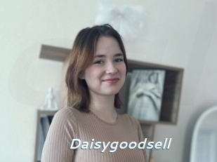 Daisygoodsell
