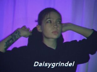 Daisygrindel