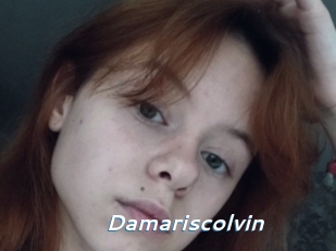 Damariscolvin