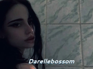 Darellebossom