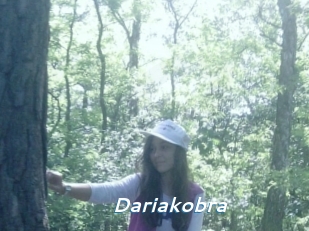 Dariakobra