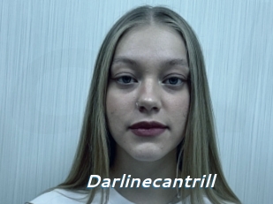 Darlinecantrill