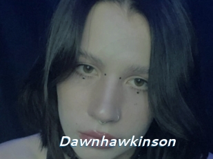 Dawnhawkinson
