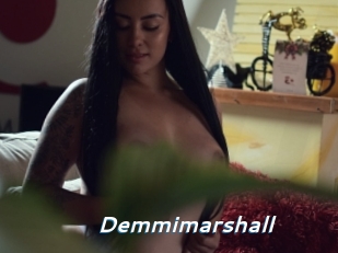 Demmimarshall