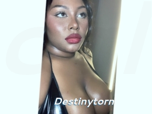 destinytorn Camgirls Live