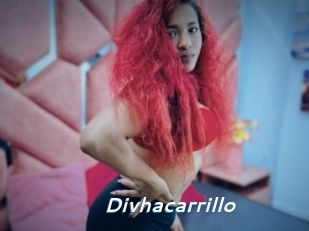 Divhacarrillo