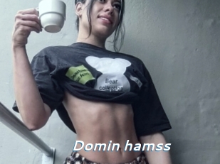 Domin_hamss