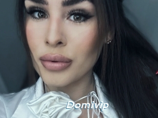 Domivip