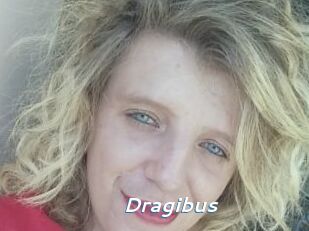Dragibus