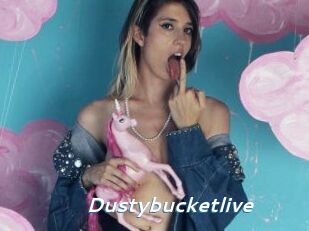 Dustybucketlive