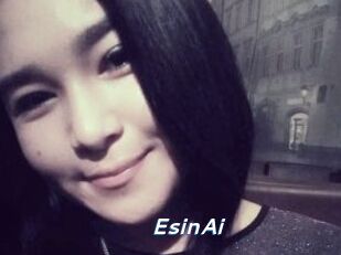 EsinAi
