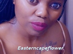 Easterncapeflower