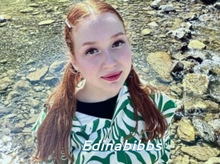 Edinabibbs