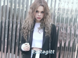 Editagitt