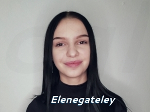 Elenegateley