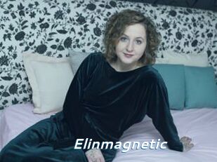 Elinmagnetic