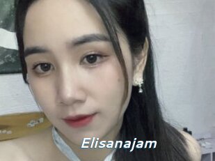 Elisanajam