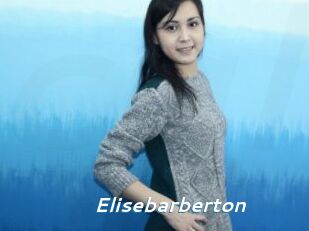 Elisebarberton