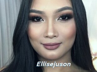 Ellisejuson