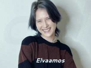 Elvaamos
