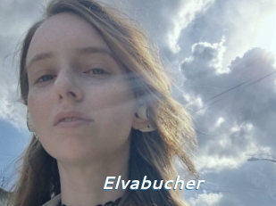 Elvabucher