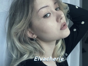 Elvacherie