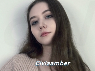 Elviaamber