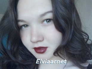Elviaarnet