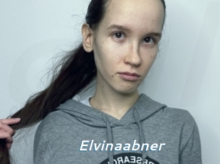 Elvinaabner