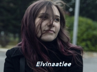 Elvinaatlee