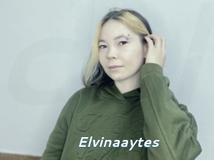 Elvinaaytes