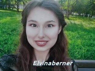 Elvinaberner