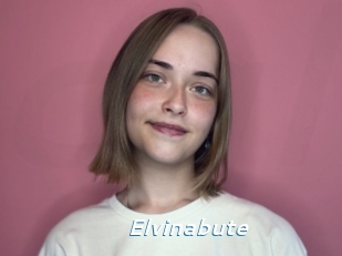 Elvinabute