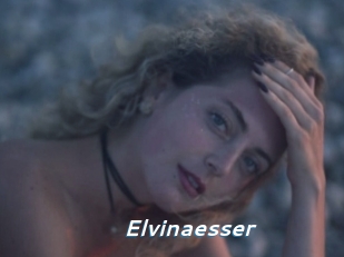 Elvinaesser