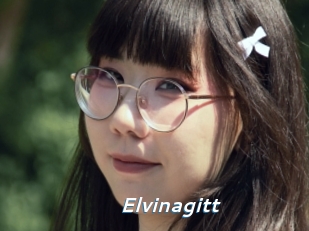 Elvinagitt