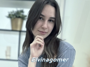 Elvinagomer