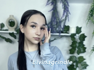 Elvinagrindle